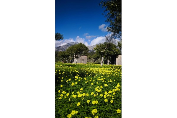 Комнаты и бунгало в кемпинге у моря в Гёйнюке