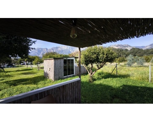 Уютное бунгало для двоих в апельсиновом саду