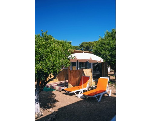 Уютное бунгало для двоих в апельсиновом саду