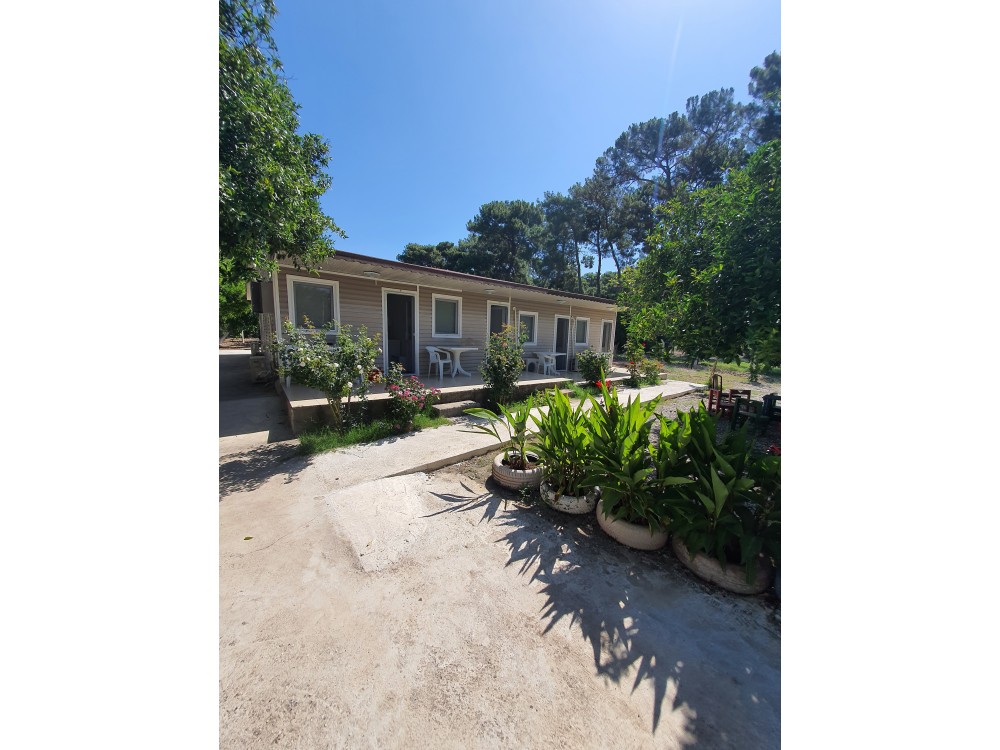 Уютный номер для четверых в Orange Beach Camp