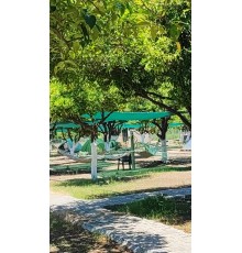 Место для палатки