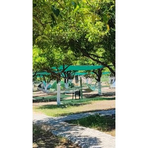 Место для палатки в кемпинге у моря