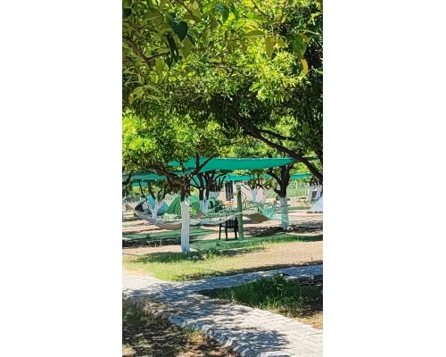 Готовая палатка для двоих в Orange Beach Camp